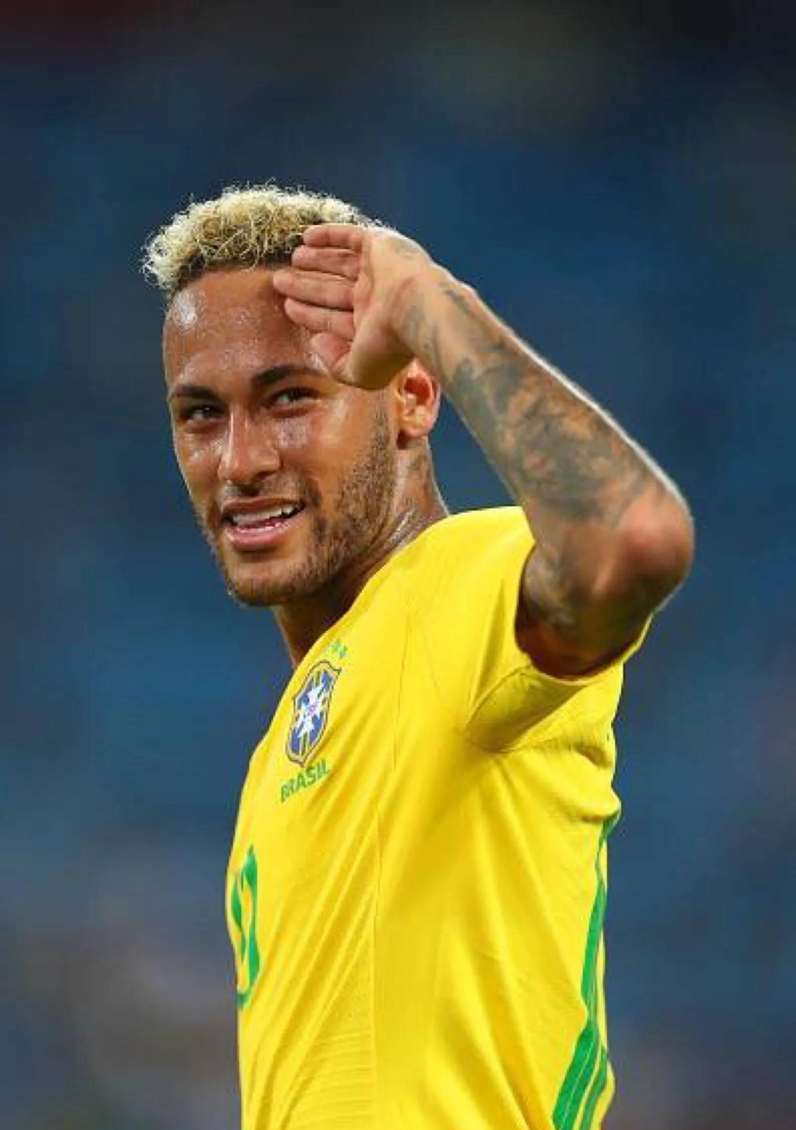 但荷兰队的 但荷兰队的