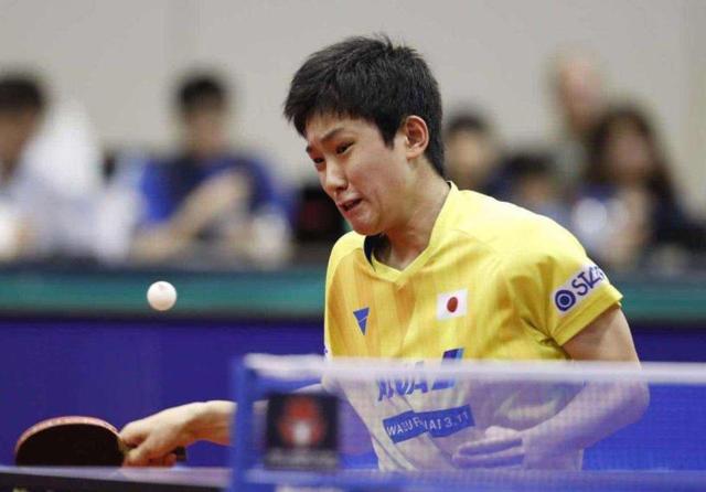 跑项目的重 跑项目的重